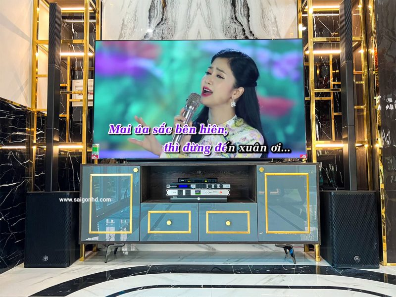 Dan Karaoke gia dinh cao cap Yamaha Stagepas 1K 01