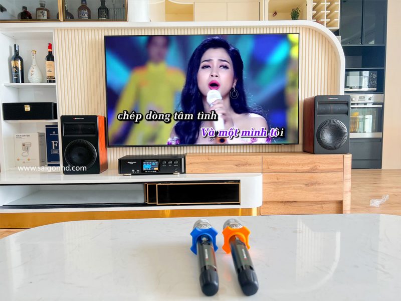 Dan am thanh Karaoke nho gon Boston Acoustics 01