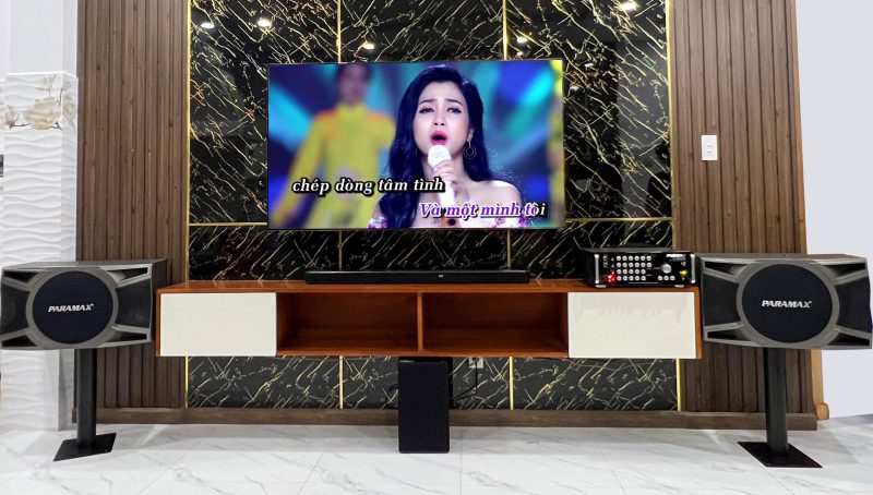 Dan am thanh Karaoke gia dinh Paramax CBX-2000 12
