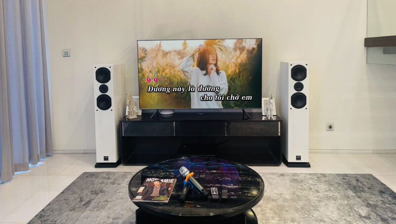 Dan am thanh Karaoke Boston Acoustics BA2250 - Paramax D88 Luxury 17