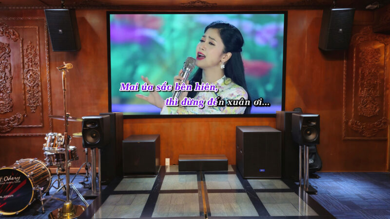 Phong karaoke gia dinh voi loa JBL KP4012 G2 22