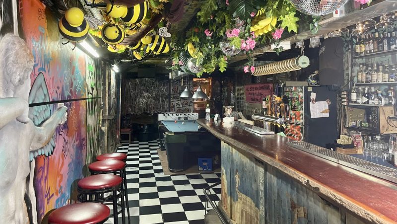 Hoan thanh he thong chuyen nghiep cho Dive Bar 11